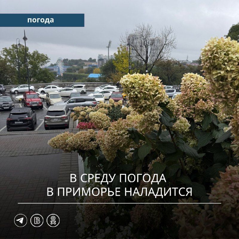 Сегодня, 13 октября, Приморский край окажется под влиянием активного циклона.