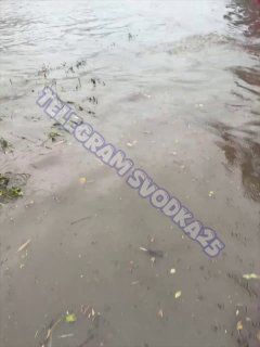 Только посмотрите, какой кошмар сейчас на Зеленом острове во Владивостоке — воды местами почти по колено — Svodka25 l Новости Приморья и Владивостока