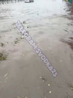 Обстановка с места затопления "Зеленого острова" во Владивостоке Пешеходы оказались по колено в воде, — PrimaMedia.Приморье
