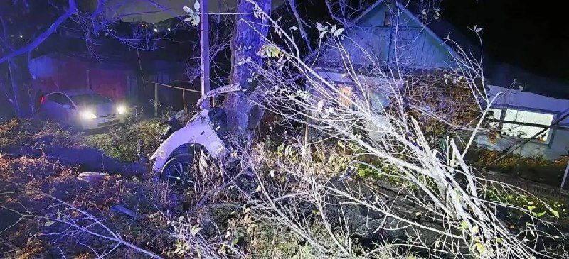 В Артёме машина врезалась в дерево, от удара её разорвало на две части, водитель погиб — Новости VL.ru | Владивосток