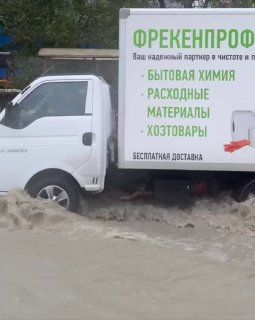 Во Владивостоке заметили ребят в одежде, которая идеально подходит к сегодняшнему дню