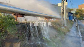 За гаражами сейчас образовался настоящий хамам. — Новости VL.ru | Владивосток