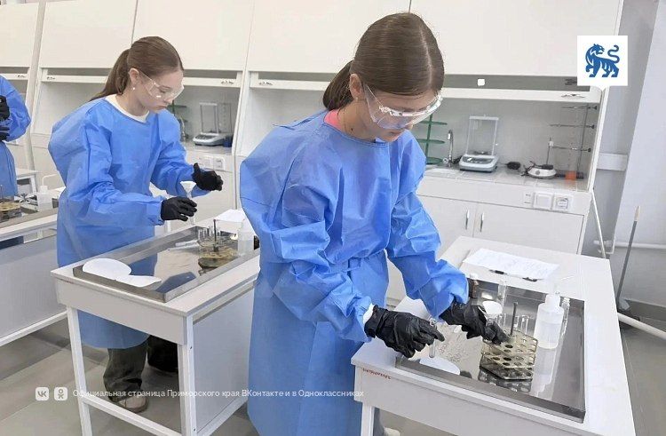 Каждый третий школьник Приморья уже знаком с разными профессиями — Правительство Приморского края