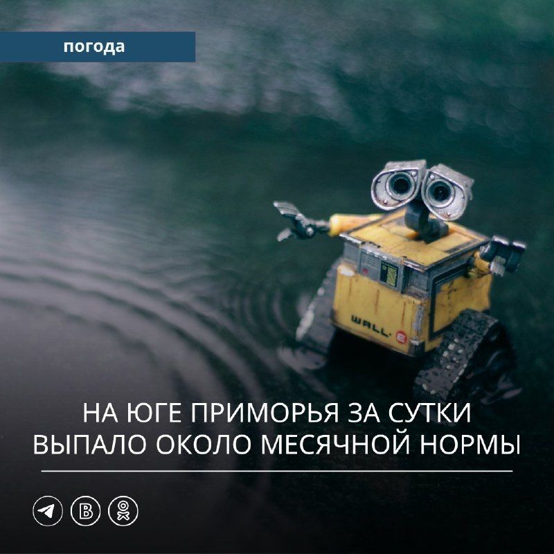 В прошедшие сутки Приморский край находился под влиянием атмосферных фронтов и углубляющегося циклона, который
