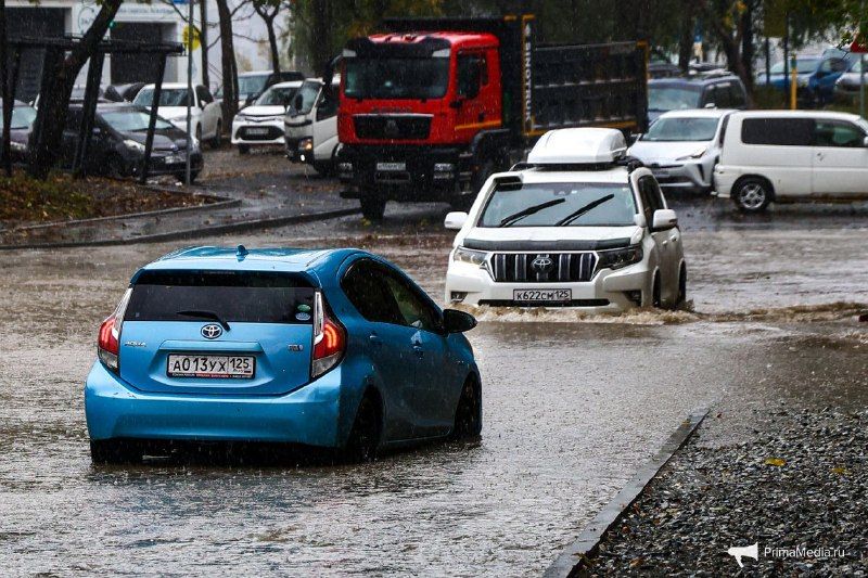 Город-утопленник, город-мечта — Дальневосточные Ведомости