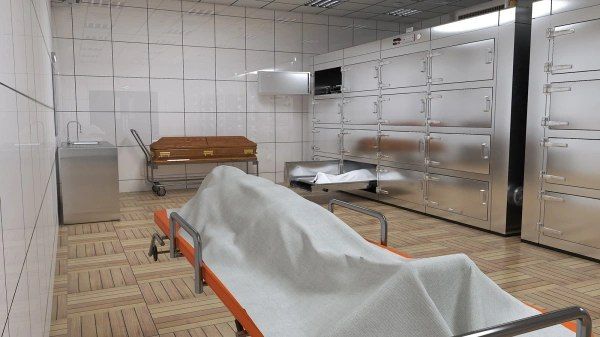 В Приморье мать и дочь приговорили к длительным срокам за взятки в морге — РБК Восток