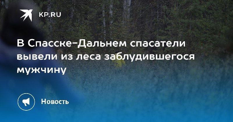 Спасатели МЧС нашли заблудившегося мужчину в лесу под Спасском-Дальним. — КП - Владивосток