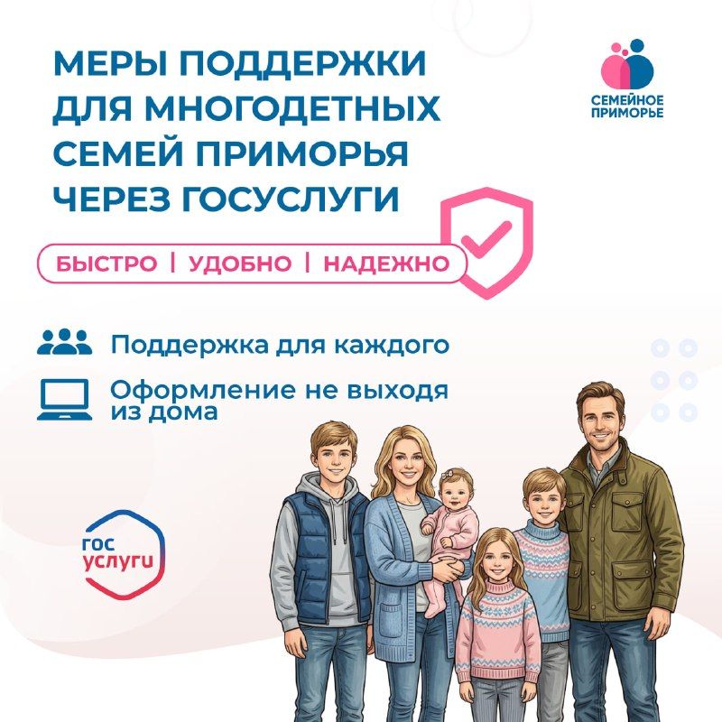 Многодетные семьи Приморья могут оформить региональные меры поддержки онлайн — Правительство Приморского края
