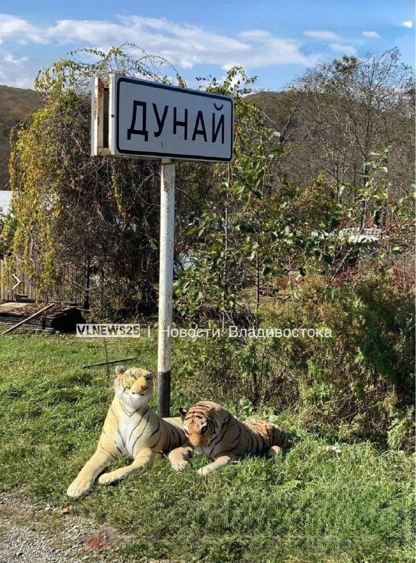 Необычная "охрана" появилась на въезде в поселок Дунай в Приморье — PrimaMedia.Приморье