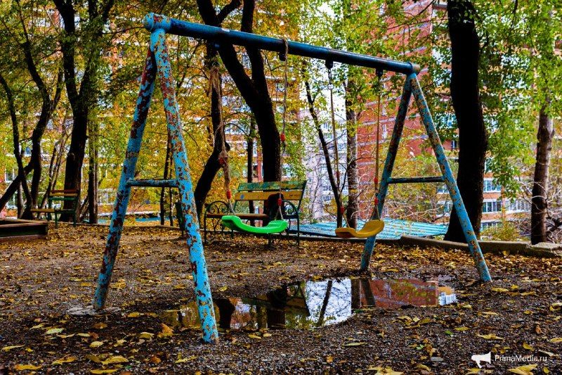 Осенний Владивосток укрылся ковром из листьев после циклона — PrimaMedia.Приморье
