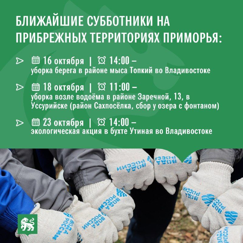Жители Приморья спасают от мусора популярные озёра и пляжи — Правительство Приморского края