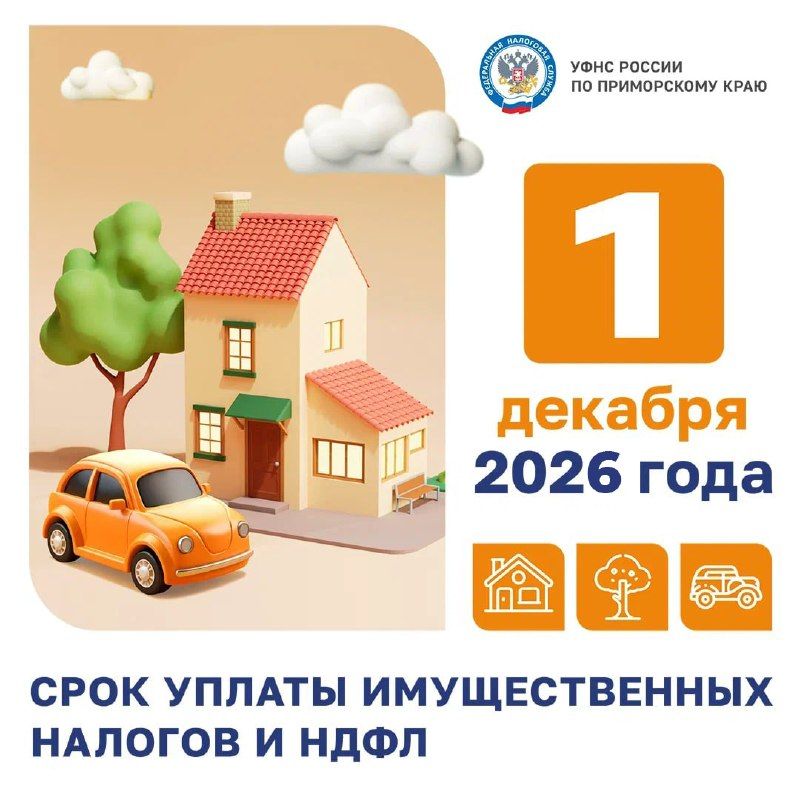 Время платить по счетам: налоги за 2025 год ждут вас до 1 декабря — Правительство Приморского края