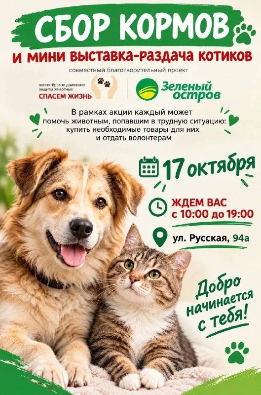 Жителей Владивостока приглашают на выставку-раздачу животных. — Администрация Владивостока