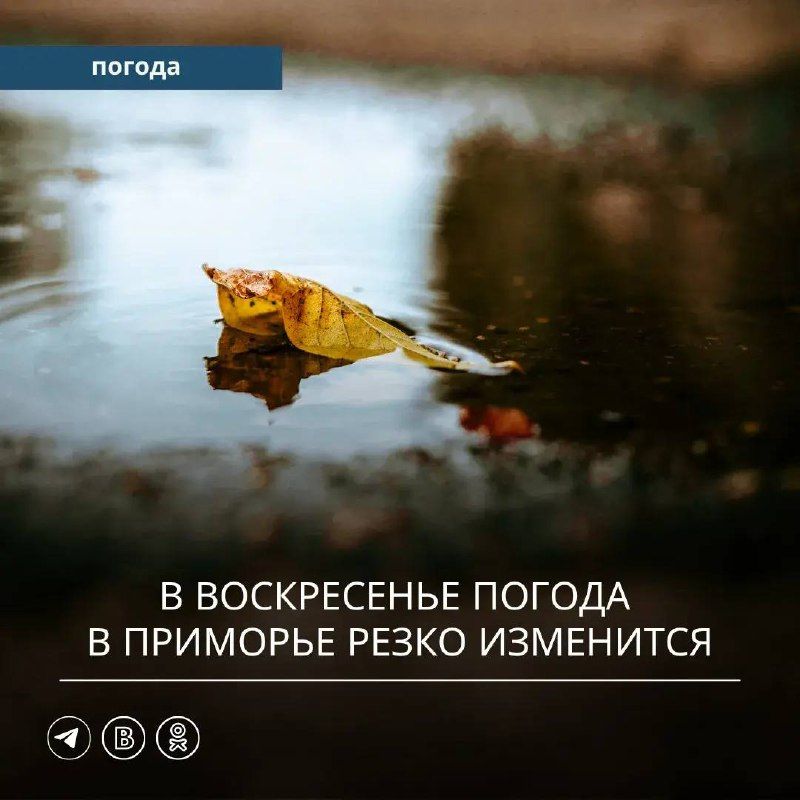В прошедшие сутки на большей территории Приморского края осадков не наблюдалось.