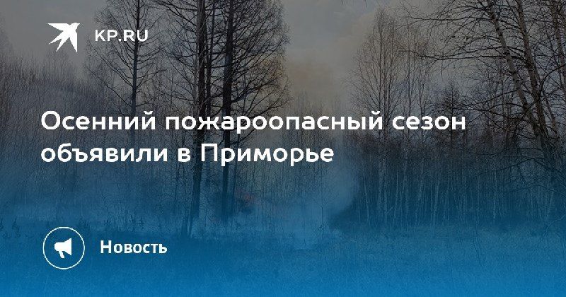 В Приморье объявлен пожароопасный сезон — КП - Владивосток