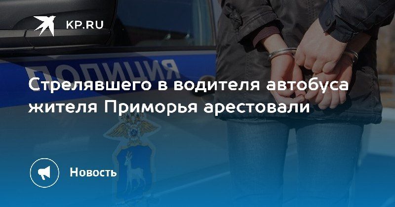 Стрелял в водителя автобуса: жителя Приморья арестовали — КП - Владивосток
