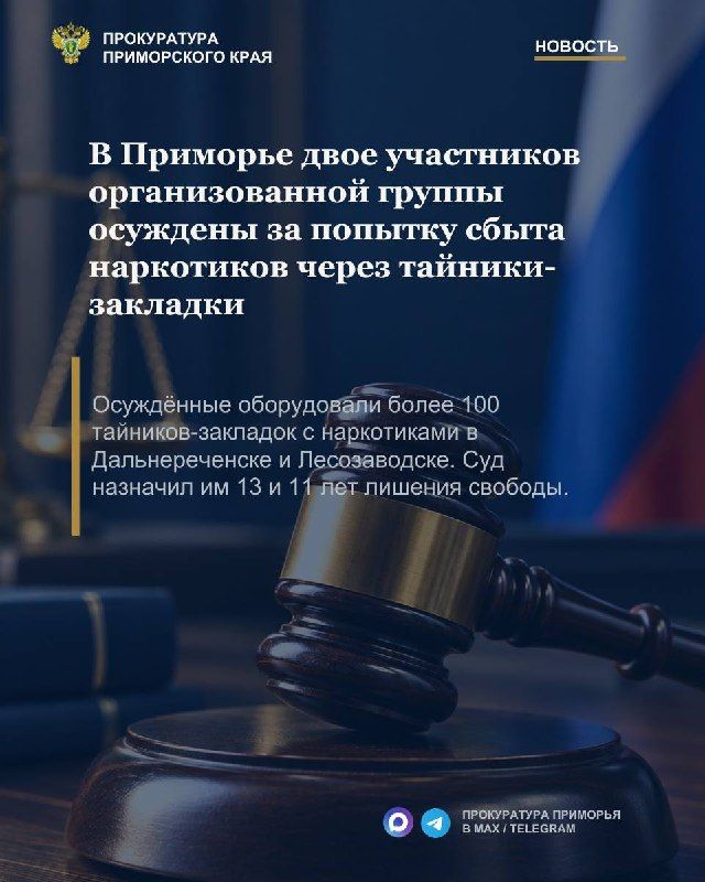 В Приморье двое участников организованной группы осуждены за попытку сбыта наркотиков через тайники-закладки