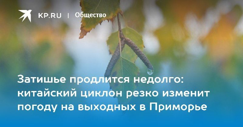 Солнечная суббота и дождливое воскресенье в Приморье — КП - Владивосток