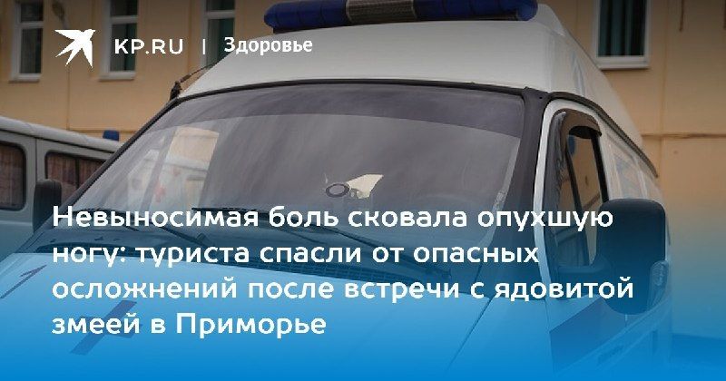Спасение от ядовитого щитомордника — КП - Владивосток