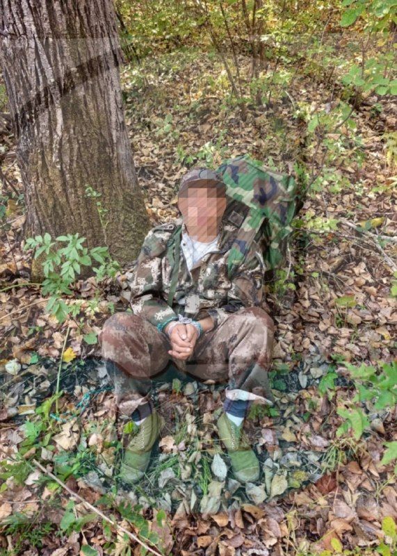 Перешел границу РФ ради грибов — и попал под две статьи УК: в Приморье задержали иностранца из Азии