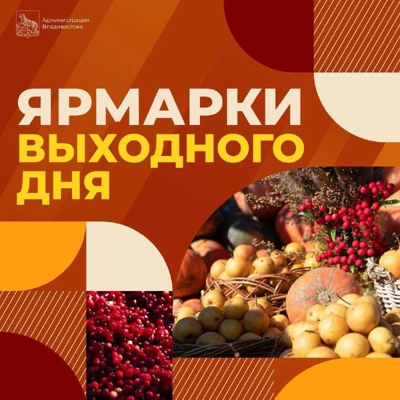 Фермеры ждут своих покупателей на ярмарках Владивостока. — Администрация Владивостока