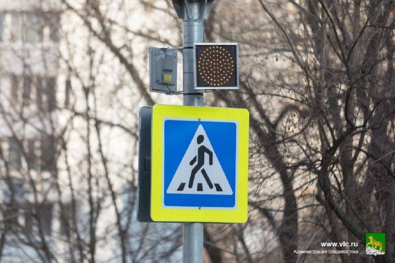 Во Владивостоке сделают безопаснее ещё семь пешеходных переходов возле школ и детских садов. — Администрация Владивостока