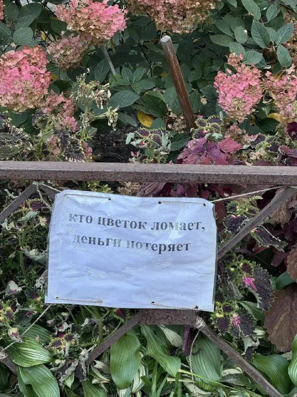 Садоводы одного из домов на улице Нахимова во Владивостоке установили "заговор" для вандалов. "Кто — Вести Приморье