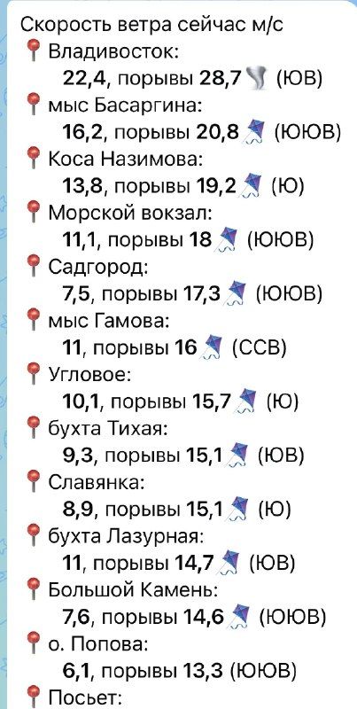 Порвы ветра во Владивостоке достигли значений «жесткого шторма». Метеостанции фиксируют значения 28,7 м/с. — Вести Приморье