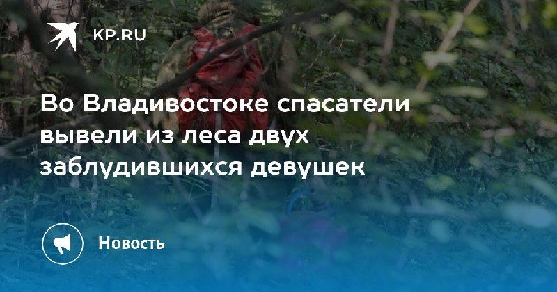 Спасение в лесу — КП - Владивосток