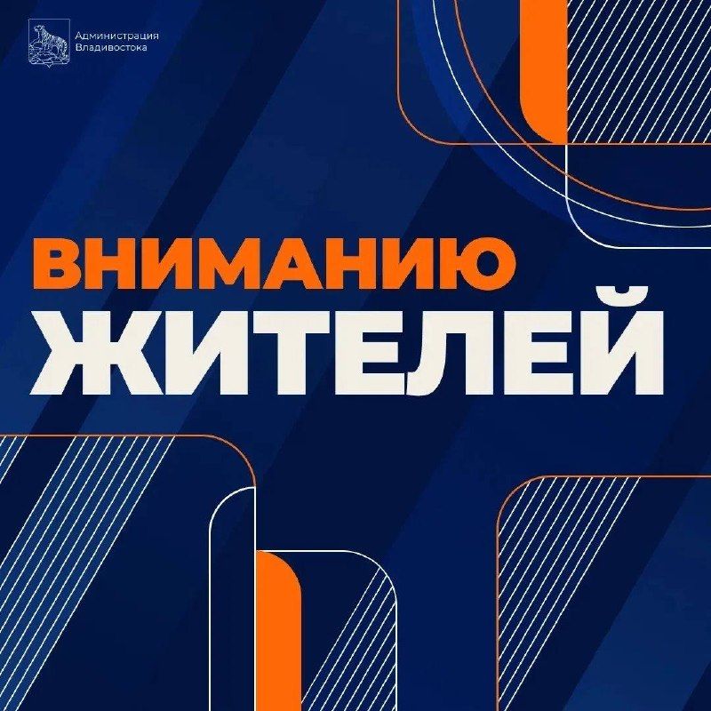 Во Владивостоке из-за сильного ветра могут ограничить движение по мостам. — Администрация Владивостока