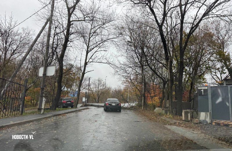 Если вы стали свидетелем подтопления, поваленных деревьев или других происшествий из-за непогоды, обязательно сообщайте — Новости VL.ru | Владивосток