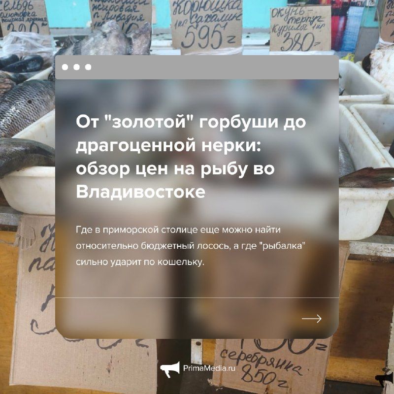 ТОП самых интересных материалов ИА PrimaMedia за прошедшую неделю: — PrimaMedia.Приморье