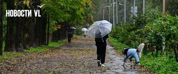 Дождливая погода вернётся во Владивосток уже в среду после недолгого прояснения — Новости VL.ru | Владивосток