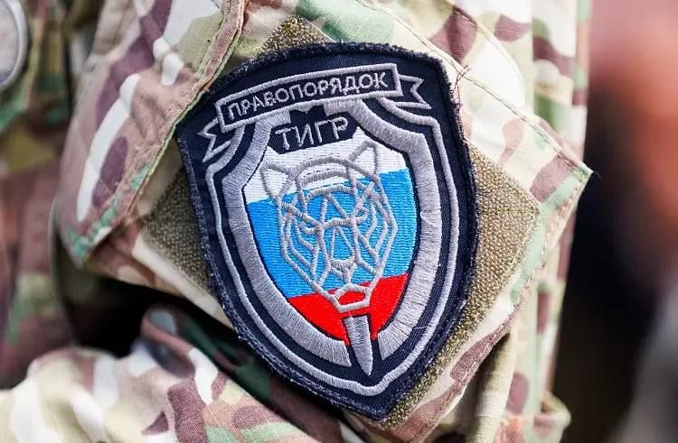 Приморским «ТИГРам» нужна только ПОБЕДА! — Правительство Приморского края