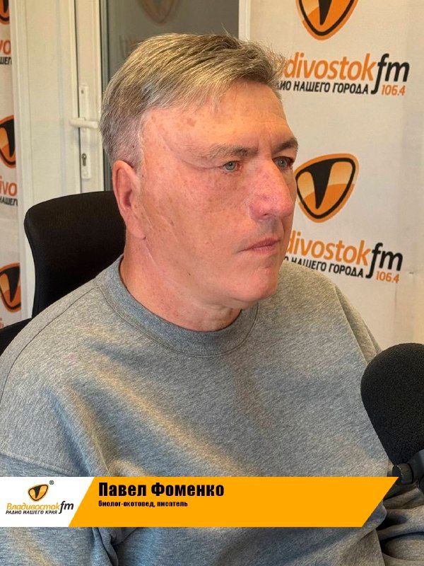 «Медведь никому не нужен экономически»