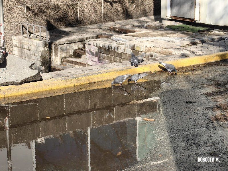 Возле «Измруда» горячая вода пробилась из-под асфальта – ВПЭС устраняет аварию