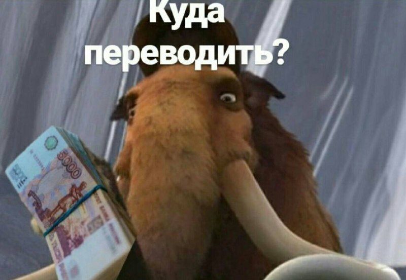 Мечтал об инвестициях, а остался без 8 миллионов: в Уссурийске мужчина стал жертвой лжеброкера