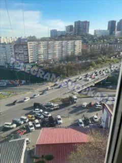 Во Владивостоке на Окатовой персонаж раскидал свои вещи на дороге и, бросаясь под колеса, возомнил себя регулировщиком — Svodka25 l Новости Приморья и Владивостока