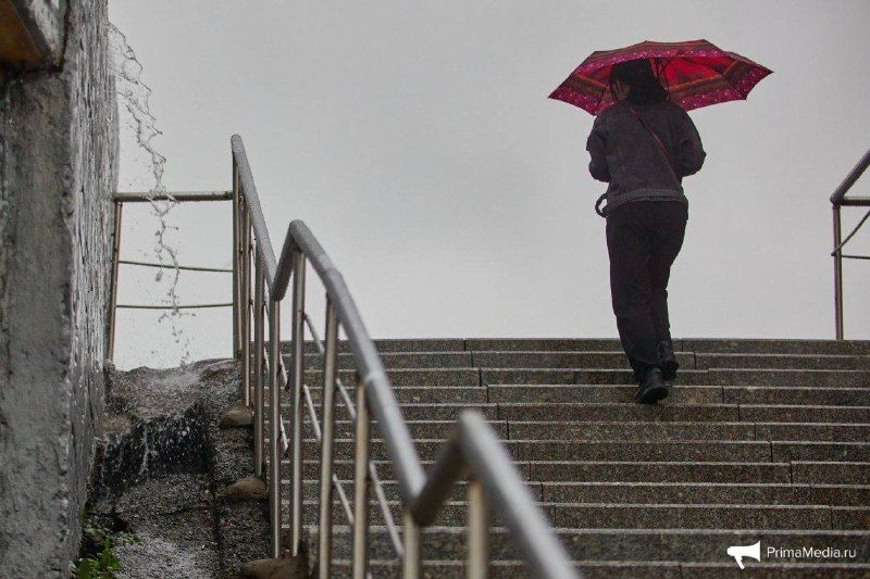 От +18°C до снега и штормового ветра: погода устроит американские горки Приморью на текущей неделе — ПРОГНОЗ — PrimaMedia.Приморье