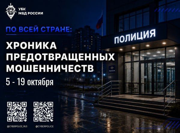 По всей стране: хроника предотвращенных мошенничеств — Полиция Приморья