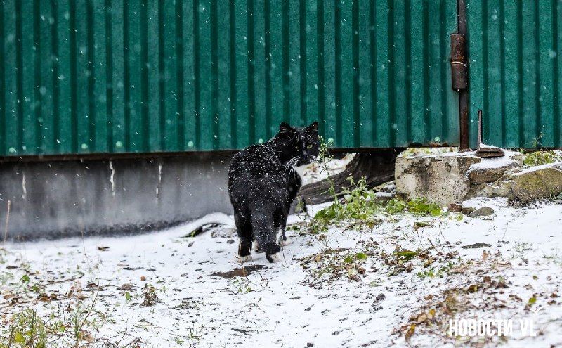 Завтра в Приморье ожидается дождь, который может перейти в снег — Новости VL.ru | Владивосток