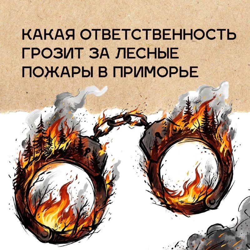 Осенний пожароопасный период продолжается в Приморье — Правительство Приморского края