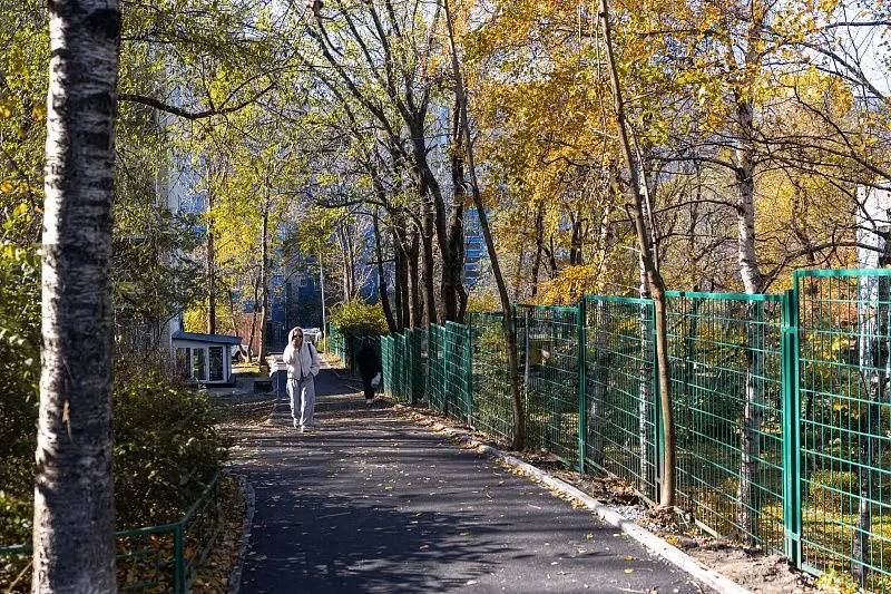 Во Владивостоке приступили к асфальтированию востребованного пешеходного маршрута. — Администрация Владивостока