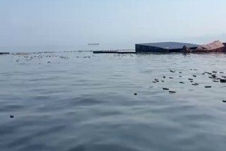Вместо рыбы новые iPhone