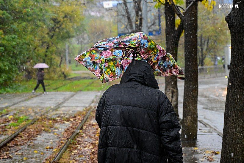 Доброе утро, Владивосток — Новости VL.ru | Владивосток
