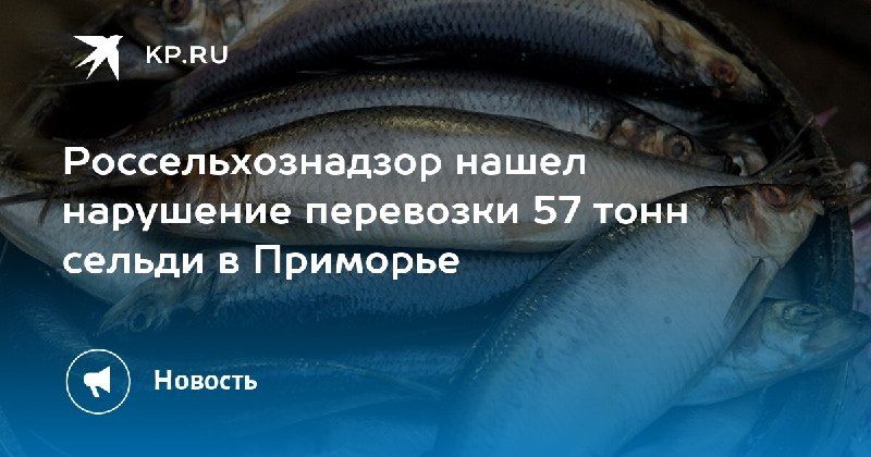 Нарушение транспортировки сельди в Приморье — КП - Владивосток