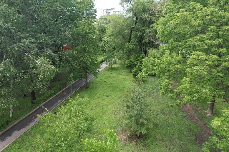 Во Владивостоке ищут подрядчика для разработки проекта благоустройства Магнитогорского сквера. — Администрация Владивостока