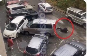 "На ногах не стоит": пьяный водитель устроил массовое ДТП во Владивостоке Пьяный водитель за рулем автомобиля — Вести Приморье