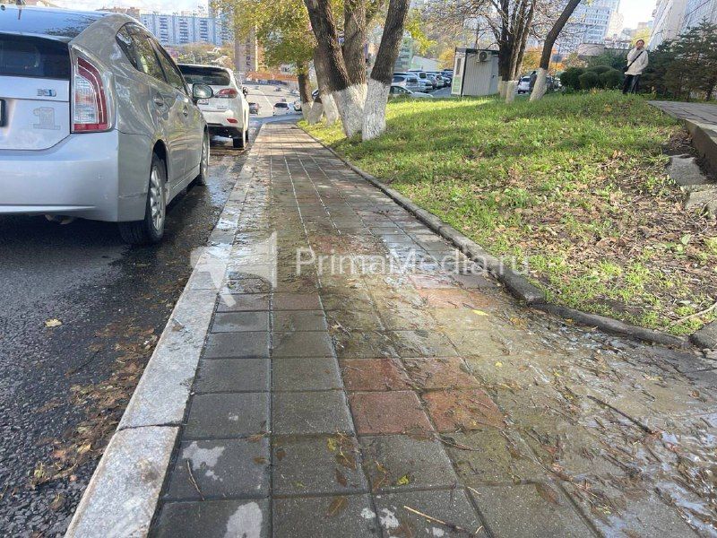Вода с неприятным запахом вытекает на тротуар у Партизанского проспекта, 44В во Владивостоке
