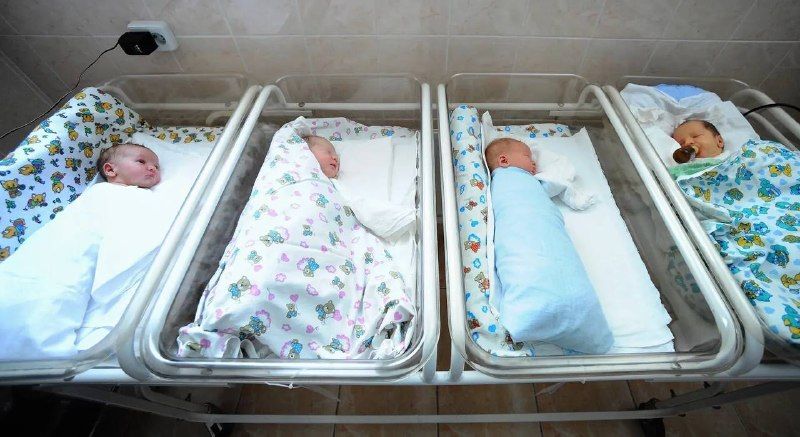 Жительница Приморья родила тройню, при этом у нее уже есть четверо детей — теперь родители воспитывают сразу семерых — Svodka25 l Новости Приморья и Владивостока